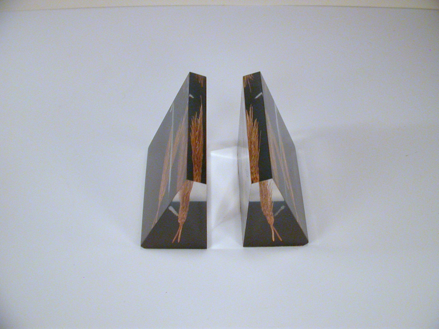 Lucite Bookends, Wheat Lucite Bookends, Mid Century Lucite