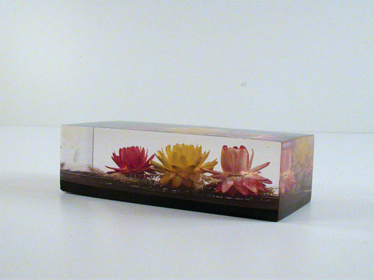 Vintage Acrylic Paper Weight | Lucite Encased African Flowers