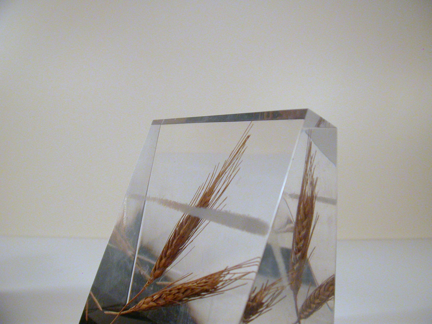 Lucite Bookends, Wheat Lucite Bookends, Mid Century Lucite
