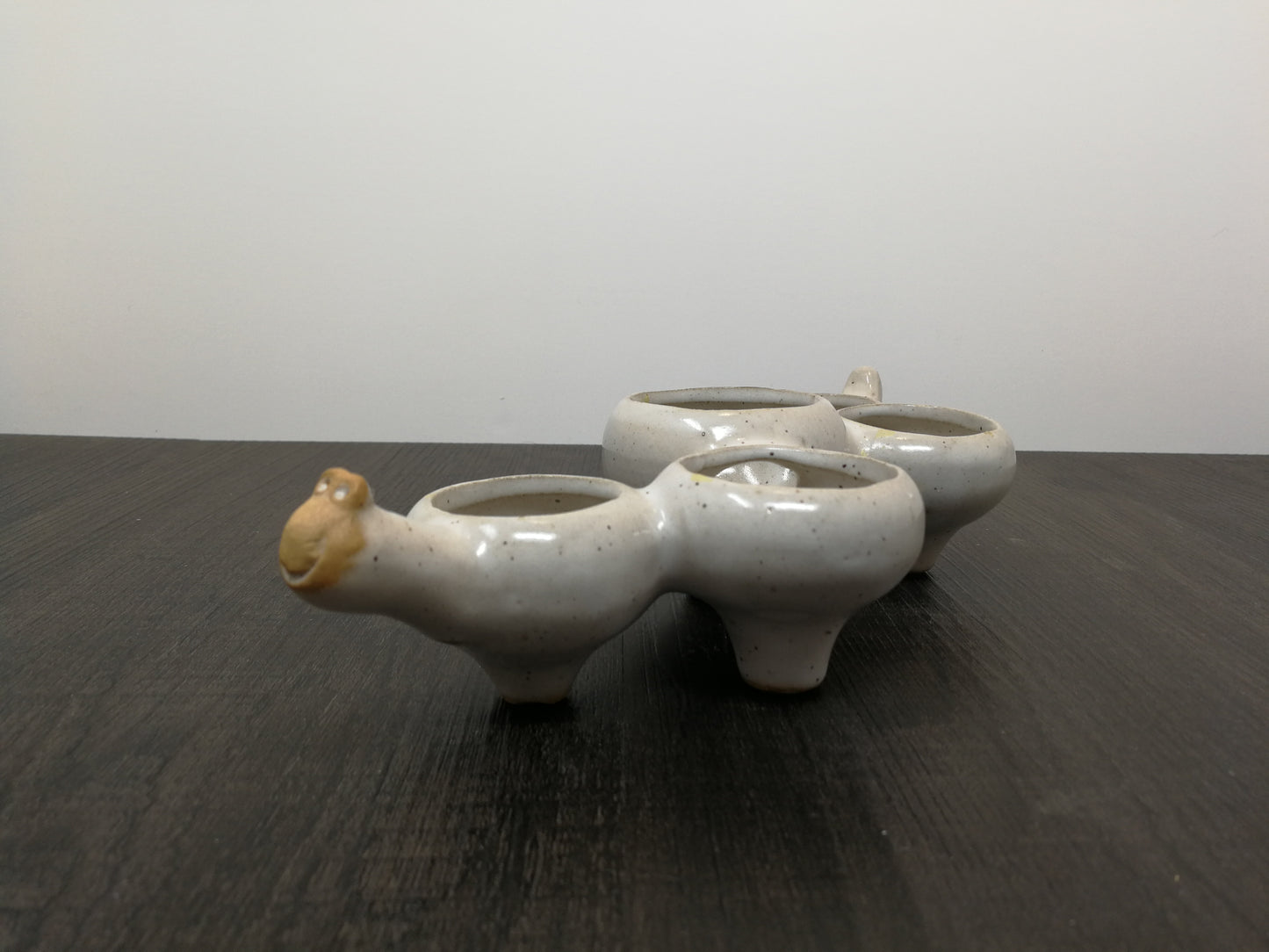 David Stewart Succulent Planter | Caterpillar Planter Lions Valley Stoneware Pottery |
