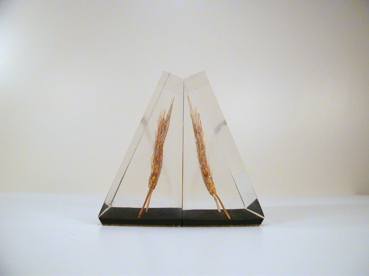 Lucite Bookends, Wheat Lucite Bookends, Mid Century Lucite