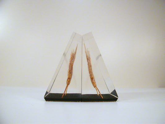 Lucite Bookends, Wheat Lucite Bookends, Mid Century Lucite