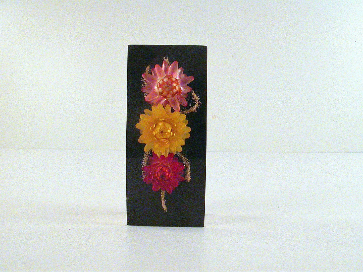 Vintage Acrylic Paper Weight | Lucite Encased African Flowers