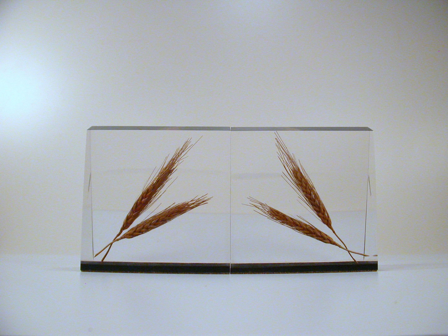 Lucite Bookends, Wheat Lucite Bookends, Mid Century Lucite