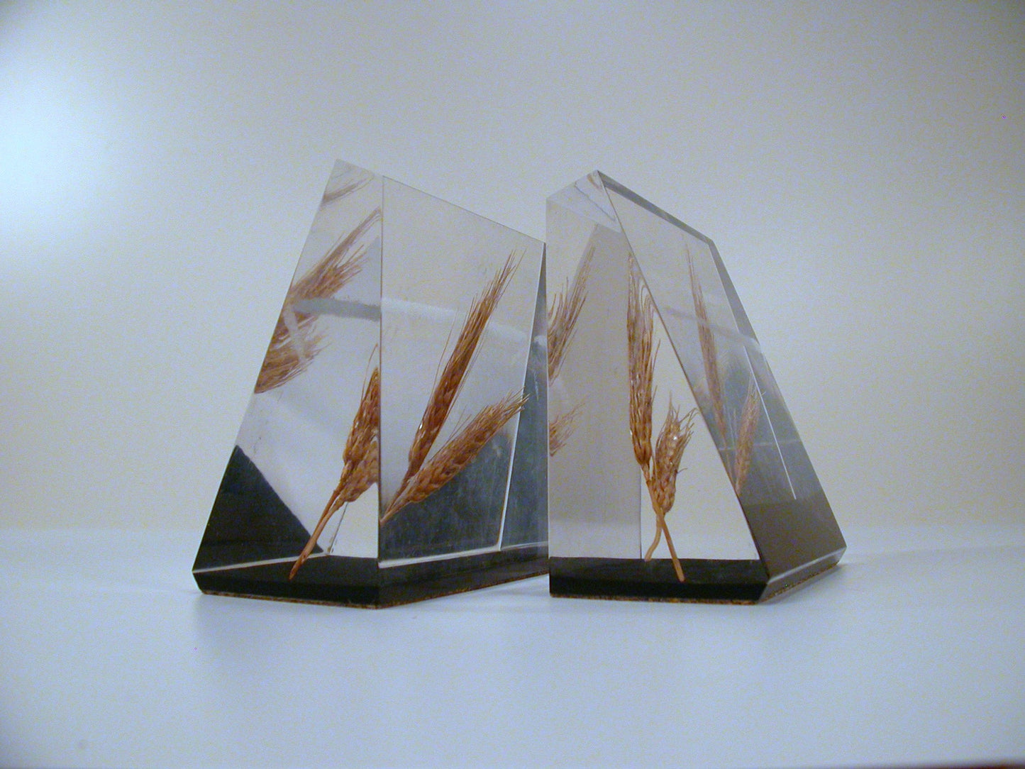 Lucite Bookends, Wheat Lucite Bookends, Mid Century Lucite