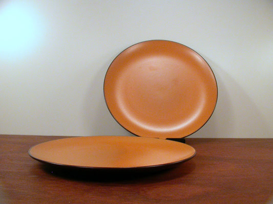 2 Mikasa Sherbet Orange Dinner Plates, Mikasa Terra stone Dinnerware