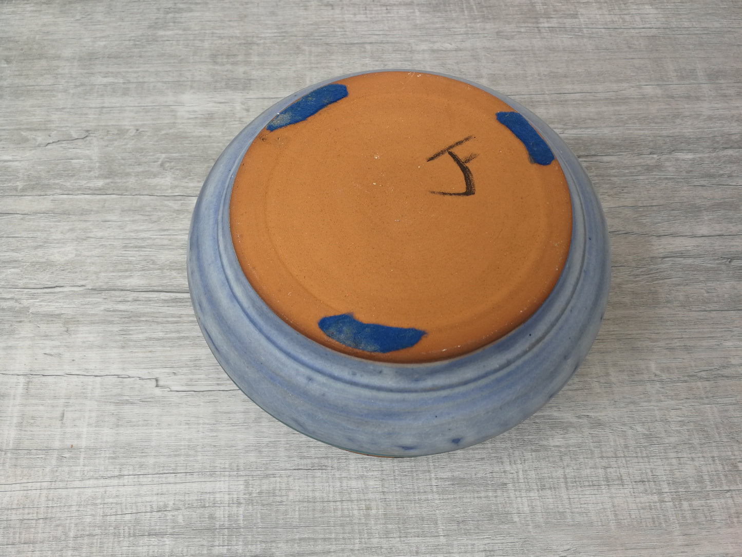 Pottery Bowl with Blue Glaze and Hand Painted Duck and Duckling Design