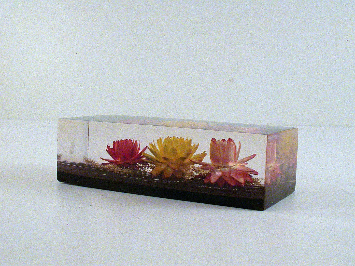 Vintage Acrylic Paper Weight | Lucite Encased African Flowers