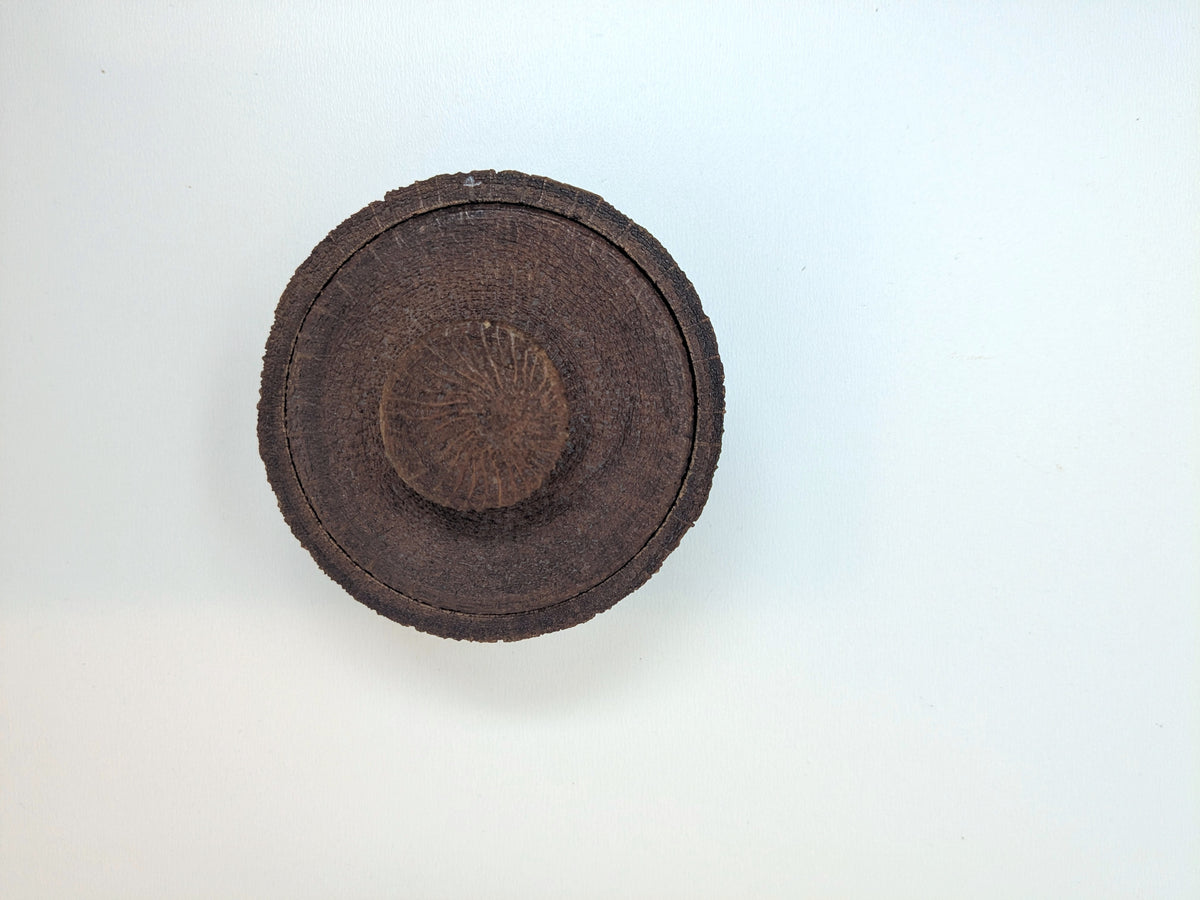 BUSSELTON / AU | Balga Wood Handcrafted Container